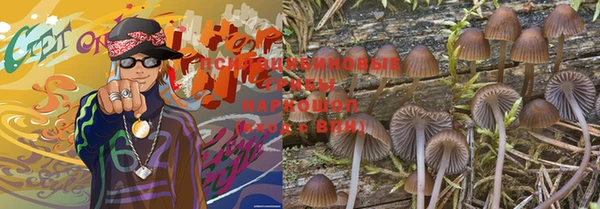 МДПВ Армянск