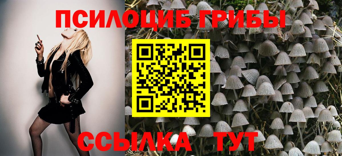 дарнет шоп  Псилоцибиновые грибы MAGIC MUSHROOMS  Вход с VPN  Когалым 